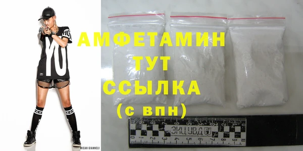 стаф Алзамай