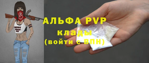 стаф Алзамай
