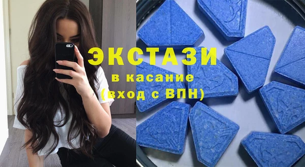 стаф Алзамай