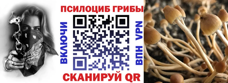 blacksprut ONION купить цена Талица Галлюциногенные грибы прущие грибы